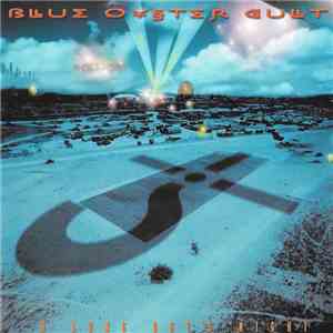 Blue Öyster Cult - A Long Day's Night mp3 album