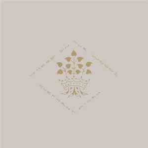 Elephant Micah - Where In Our Woods mp3 album