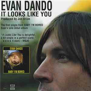 Evan Dando - It Looks Like You mp3 album
