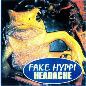 Fake Hyppi / Headache  - Fake Hyppi / Headache mp3 album