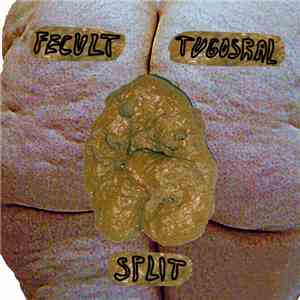 Fecult & Tugosral - Split mp3 album