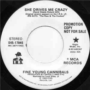 Fine Young Cannibals - She Drives Me Crazy mp3 album