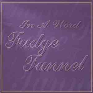 Fudge Tunnel - In A Word mp3 album