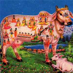 JT - Cow mp3 album