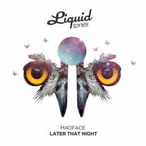 Madface  - Later That Night mp3 album
