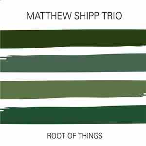 Matthew Shipp Trio - Root Of Things mp3 album
