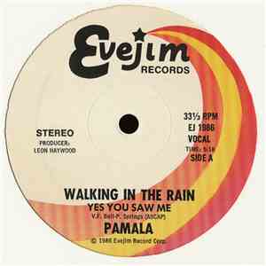 Pamala Stanley - Walking In The Rain (Yes You Saw Me) mp3 album