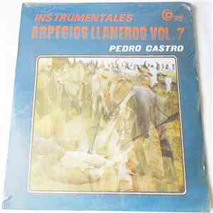 Pedro Castro  - Instrumentales Arpegios Llaneros Vol.7h1