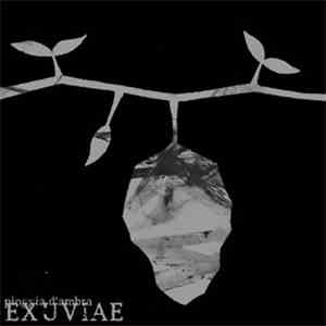 Pioggia D'Ambra - Exuviae mp3 album