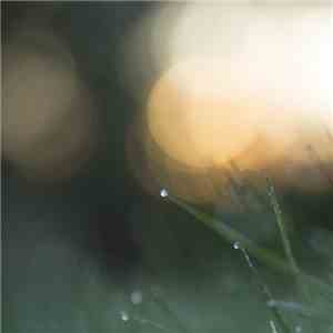 Purl - Stillpoint mp3 album