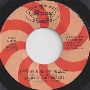 Sandy & The Pebbles - He's My Kind Of Fellow / My Foolish Little Heart mp3 album