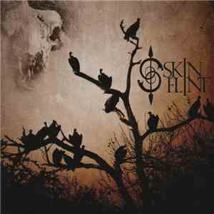 Skinflint  - Skinflint mp3 album