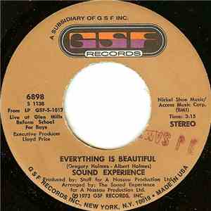 Sound Experience  - Everything Is Beautiful mp3 album