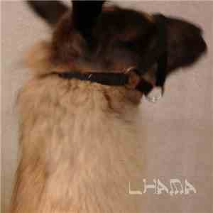 Stephen Ugo Rosin - Lhama mp3 album