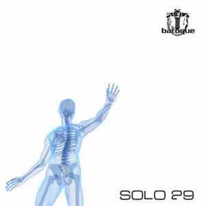 Various - Solo 29 mp3 album
