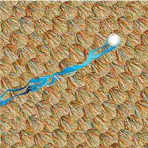 Various - Tartelet Contemporary mp3 album