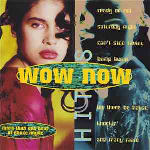 Various - Wow Now Hits mp3 album