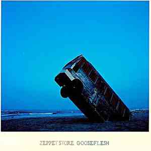 Zeppet Store - Gooseflesh mp3 album