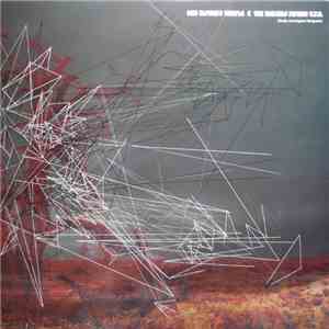 Acid Mothers Temple & The Melting Paraiso U.F.O. - Glorify Astrological Martyrdom mp3 album