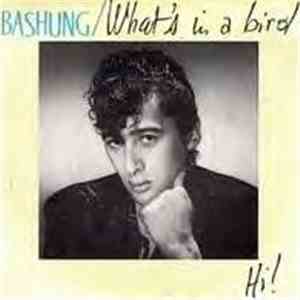 Bashung - What's In A Bird / Hi ! mp3 album