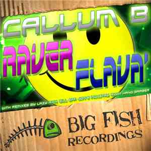 Callum B - Raver Flava' mp3 album