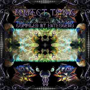 Enteogeno - Perfect Timing Vol. 02 mp3 album