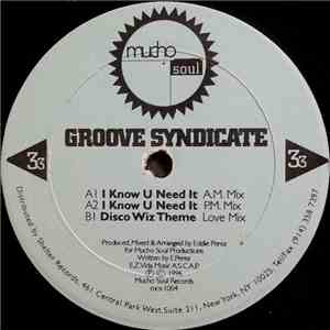 Groove Syndicate  - I Know U Need It mp3 album