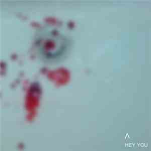 Ʌ - Hey You mp3 album