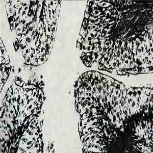 Jim O'Rourke - Secure On The Loose Rim mp3 album
