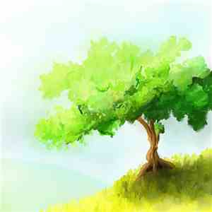 Lucas Paakh - Forests And Oceans mp3 album
