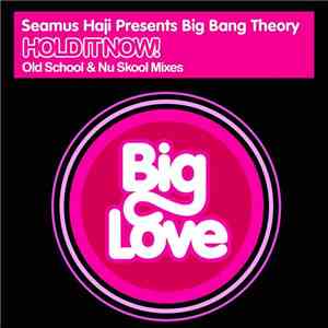 Seamus Haji Presents Big Bang Theory - Hold It Now! mp3 album