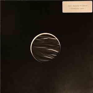 S&G - The Beauty Of Silence (Essential Dark Mix) mp3 album