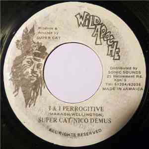 Super Cat  / Nicodemus - I & I Perrogitive mp3 album
