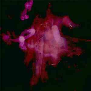 The Legendary Pink Dots - Farewell, Milky Way mp3 album