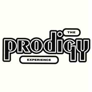 The Prodigy - Experience mp3 album