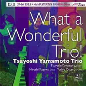 Tsuyoshi Yamamoto Trio - What A Wonderful Trio! mp3 album