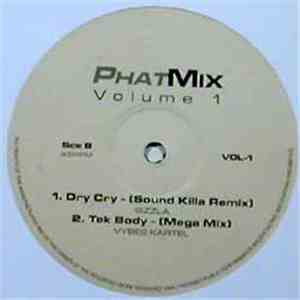Various - PhatMix Volume 1 mp3 album
