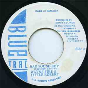 Wayne Fire, Little Robert - Bad Sound Boy mp3 album
