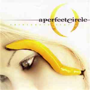 A Perfect Circle - Thirteenth Step mp3 album