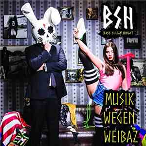 Bass Sultan Hengzt - Musik Wegen Weibaz mp3 album