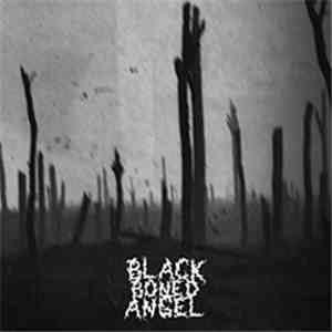 Black Boned Angel - Verdun mp3 album