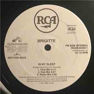 Brigitte  - In My Sleep mp3 album