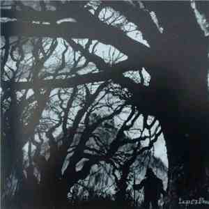 Crown Of Worms - Shadows Of Past Wars 2002-2008 mp3 album