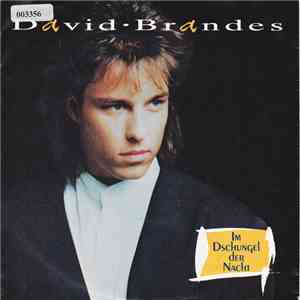 David Brandes - Im Dschungel Der Nacht mp3 album