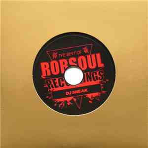 DJ Sneak - Best Of Robsoul Recordings Volume 2 - DJ Sneak mp3 album