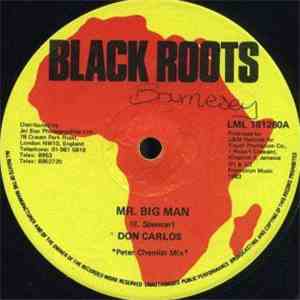 Don Carlos  / Trevor Junior - Mr. Big Man / Run Around mp3 album