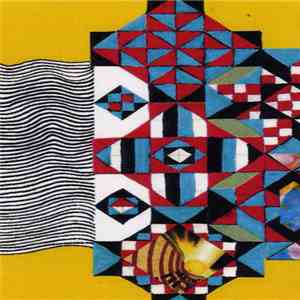 Ducktails - Dreams In Mirror Field mp3 album