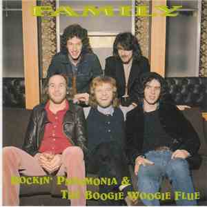 Family  - Rockin' Pneumonia & The Boogie Woogie Flue mp3 album