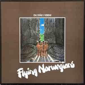 Flying Norwegians - Du Står I Veien mp3 album