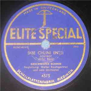 Geschwister Schmid - Sibe Chlini Entli / Zoggeli-Swing mp3 album
